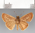  ( - CFCD03550)  @11 [ ] copyright (2023) Center For Collection-Based Research Center For Collection-Based Research