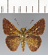  ( - CFCD03557)  @11 [ ] copyright (2023) Center For Collection-Based Research Center For Collection-Based Research