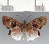  ( - CFCD03649)  @11 [ ] copyright (2023) Center For Collection-Based Research Center For Collection-Based Research