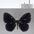  ( - CFCD00001)  @11 [ ] Copyright (2018) Christer Fahraeus Center For Collection-Based Research