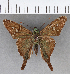  ( - CFCD01002)  @11 [ ] Copyright (2018) Christer Fahraeus Center For Collection-Based Research