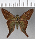  ( - CFCD01003)  @11 [ ] Copyright (2018) Christer Fahraeus Center For Collection-Based Research