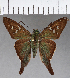  ( - CFCD01004)  @11 [ ] Copyright (2018) Christer Fahraeus Center For Collection-Based Research