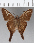  ( - CFCD01009)  @13 [ ] Copyright (2018) Christer Fahraeus Center For Collection-Based Research