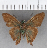  ( - CFCD01011)  @11 [ ] Copyright (2018) Christer Fahraeus Center For Collection-Based Research