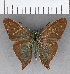  ( - CFCD01012)  @11 [ ] Copyright (2018) Christer Fahraeus Center For Collection-Based Research