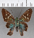  ( - CFCD01028)  @11 [ ] Copyright (2018) Christer Fahraeus Center For Collection-Based Research