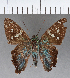  ( - CFCD01029)  @11 [ ] Copyright (2018) Christer Fahraeus Center For Collection-Based Research