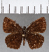  ( - CFCD01051)  @13 [ ] Copyright (2018) Christer Fahraeus Center For Collection-Based Research