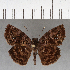  ( - CFCD01072)  @14 [ ] Copyright (2018) Christer Fahraeus Center For Collection-Based Research