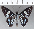  ( - CFCD01101)  @11 [ ] Copyright (2019) Christer Fahraeus Center For Collection-Based Research