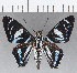  ( - CFCD01102)  @11 [ ] Copyright (2019) Christer Fahraeus Center For Collection-Based Research