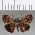  ( - CFCD01108)  @11 [ ] Copyright (2019) Christer Fahraeus Center For Collection-Based Research