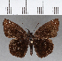  ( - CFCD01116)  @11 [ ] Copyright (2019) Christer Fahraeus Center For Collection-Based Research
