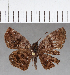  ( - CFCD01124)  @13 [ ] Copyright (2019) Christer Fahraeus Center For Collection-Based Research