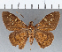  ( - CFCD01151)  @11 [ ] Copyright (2019) Christer Fahraeus Center For Collection-Based Research