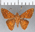  ( - CFCD01160)  @11 [ ] Copyright (2019) Christer Fahraeus Center For Collection-Based Research
