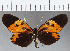  ( - CFCD01187)  @11 [ ] Copyright (2019) Christer Fahraeus Center For Collection-Based Research