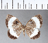  ( - CFCD00012)  @11 [ ] Copyright (2018) Christer Fahraeus Center For Collection-Based Research