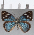  ( - CFCD01210)  @11 [ ] Copyright (2019) Christer Fahraeus Center For Collection-Based Research