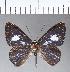  ( - CFCD00124)  @11 [ ] Copyright (2018) Christer Fahraeus Center For Collection-Based Research