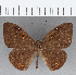  ( - CFCD01241)  @11 [ ] Copyright (2019) Christer Fahraeus Center For Collection-Based Research