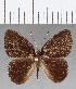  ( - CFCD01255)  @11 [ ] Copyright (2019) Christer Fahraeus Center For Collection-Based Research