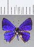  ( - CFCD01273)  @11 [ ] Copyright (2019) Christer Fahraeus Center For Collection-Based Research