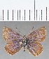  ( - CFCD01274)  @11 [ ] Copyright (2019) Christer Fahraeus Center For Collection-Based Research
