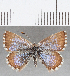  ( - CFCD01312)  @11 [ ] Copyright (2019) Christer Fahraeus Center For Collection-Based Research