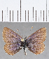  ( - CFCD01363)  @11 [ ] Copyright (2019) Christer Fahraeus Center For Collection-Based Research