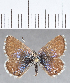  ( - CFCD01367)  @11 [ ] Copyright (2019) Christer Fahraeus Center For Collection-Based Research