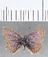  ( - CFCD01370)  @11 [ ] Copyright (2019) Christer Fahraeus Center For Collection-Based Research