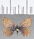  ( - CFCD01371)  @11 [ ] Copyright (2019) Christer Fahraeus Center For Collection-Based Research