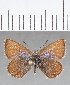  ( - CFCD01381)  @11 [ ] Copyright (2019) Christer Fahraeus Center For Collection-Based Research