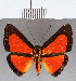  ( - CFCD01397)  @11 [ ] Copyright (2019) Christer Fahraeus Center For Collection-Based Research