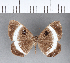  ( - CFCD00014)  @11 [ ] Copyright (2018) Christer Fahraeus Center For Collection-Based Research