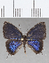  ( - CFCD01400)  @11 [ ] Copyright (2020) Christer Fahraeus Center For Collection-Based Research