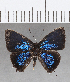  ( - CFCD01404)  @11 [ ] Copyright (2020) Christer Fahraeus Center For Collection-Based Research