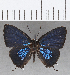  ( - CFCD01412)  @11 [ ] Copyright (2020) Christer Fahraeus Center For Collection-Based Research