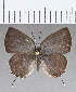  ( - CFCD01424)  @11 [ ] Copyright (2020) Christer Fahraeus Center For Collection-Based Research