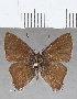  ( - CFCD01462)  @11 [ ] Copyright (2020) Christer Fahraeus Center For Collection-Based Research
