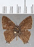  ( - CFCD01463)  @11 [ ] Copyright (2020) Christer Fahraeus Center For Collection-Based Research