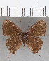  ( - CFCD01478)  @11 [ ] Copyright (2020) Christer Fahraeus Center For Collection-Based Research