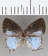  ( - CFCD01479)  @11 [ ] Copyright (2020) Christer Fahraeus Center For Collection-Based Research