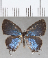  ( - CFCD01482)  @11 [ ] Copyright (2020) Christer Fahraeus Center For Collection-Based Research