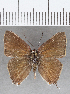  ( - CFCD01486)  @11 [ ] Copyright (2020) Christer Fahraeus Center For Collection-Based Research