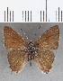  ( - CFCD01488)  @11 [ ] Copyright (2020) Christer Fahraeus Center For Collection-Based Research