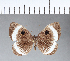  ( - CFCD00015)  @11 [ ] Copyright (2018) Christer Fahraeus Center For Collection-Based Research