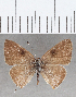  ( - CFCD01508)  @11 [ ] Copyright (2020) Christer Fahraeus Center For Collection-Based Research